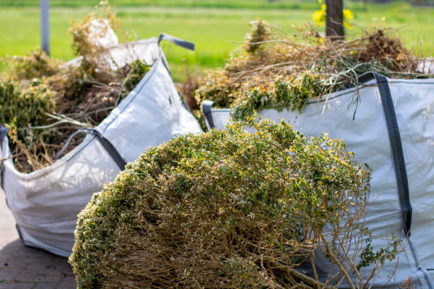 Best Affordable Junk Removal Services  in Ava, MO
